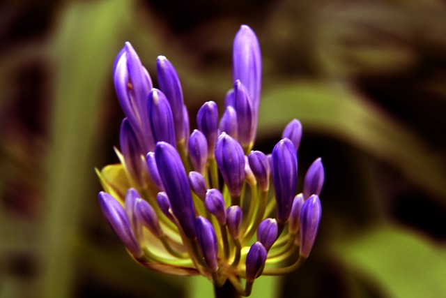 巧合？美国队此前刚赢了世界杯小组赛对手澳大利亚、巴拉圭